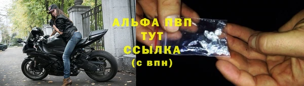 гидра Абаза