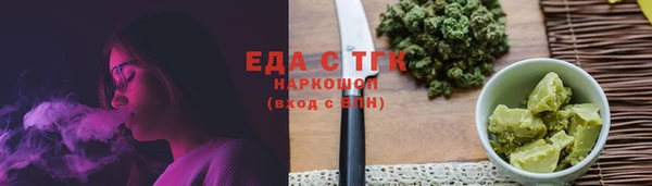 гидра Абаза