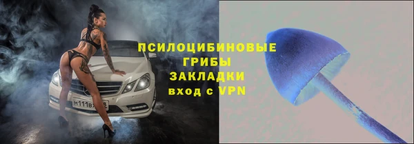 ГАЛЛЮЦИНОГЕННЫЕ ГРИБЫ Алексин